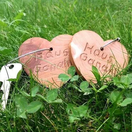 Apartment Haus Ganahl Klostertal *